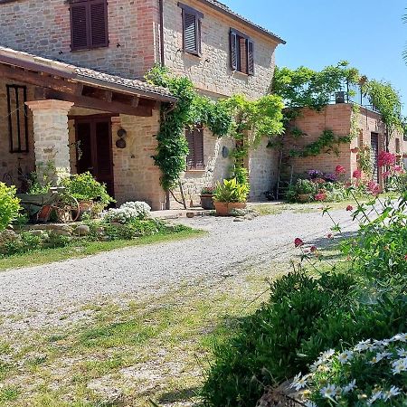 Casale San Martino Agriturismo Bio Sant'Angelo in Pontano Extérieur photo