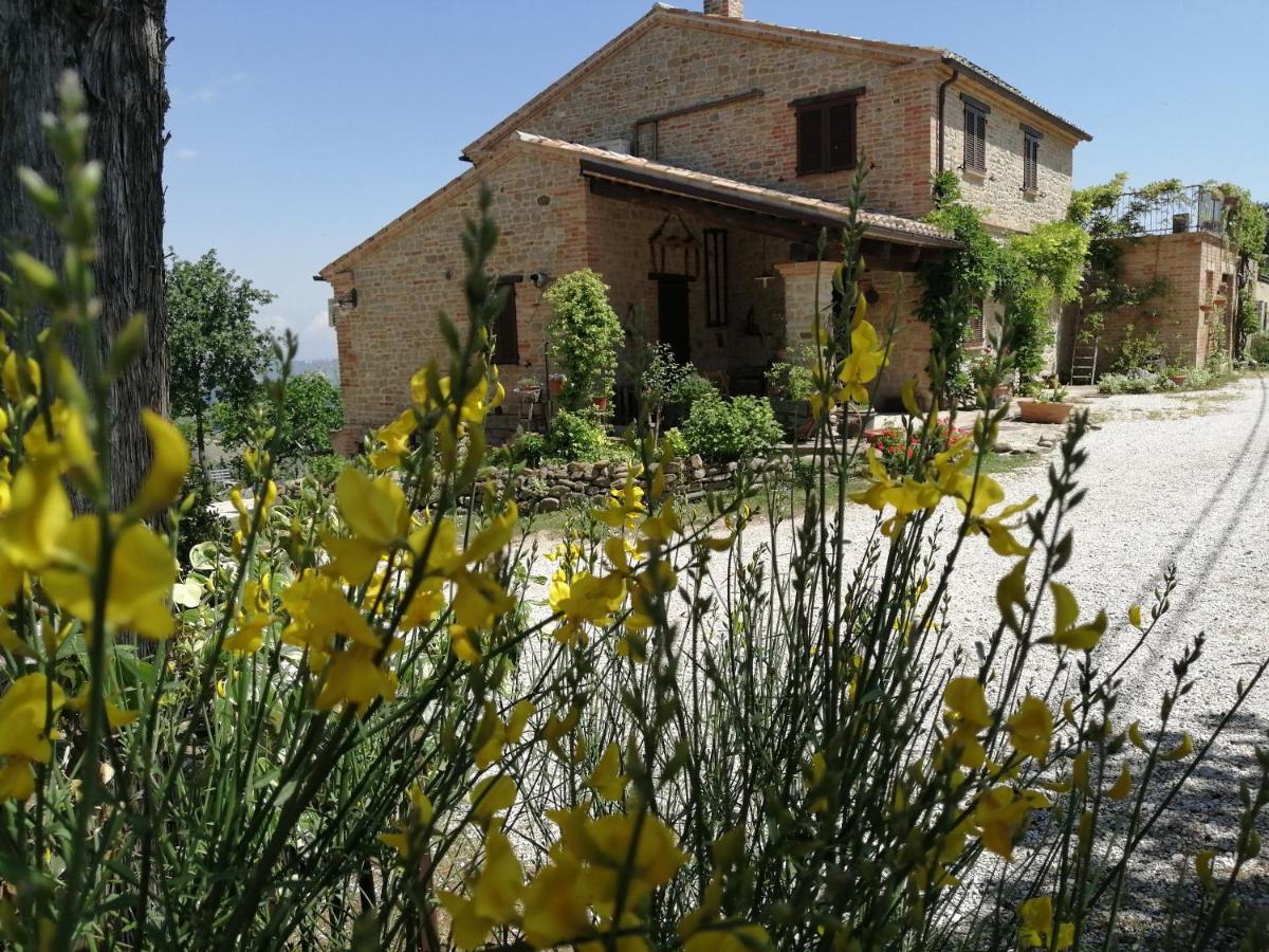 Casale San Martino Agriturismo Bio Sant'Angelo in Pontano Extérieur photo