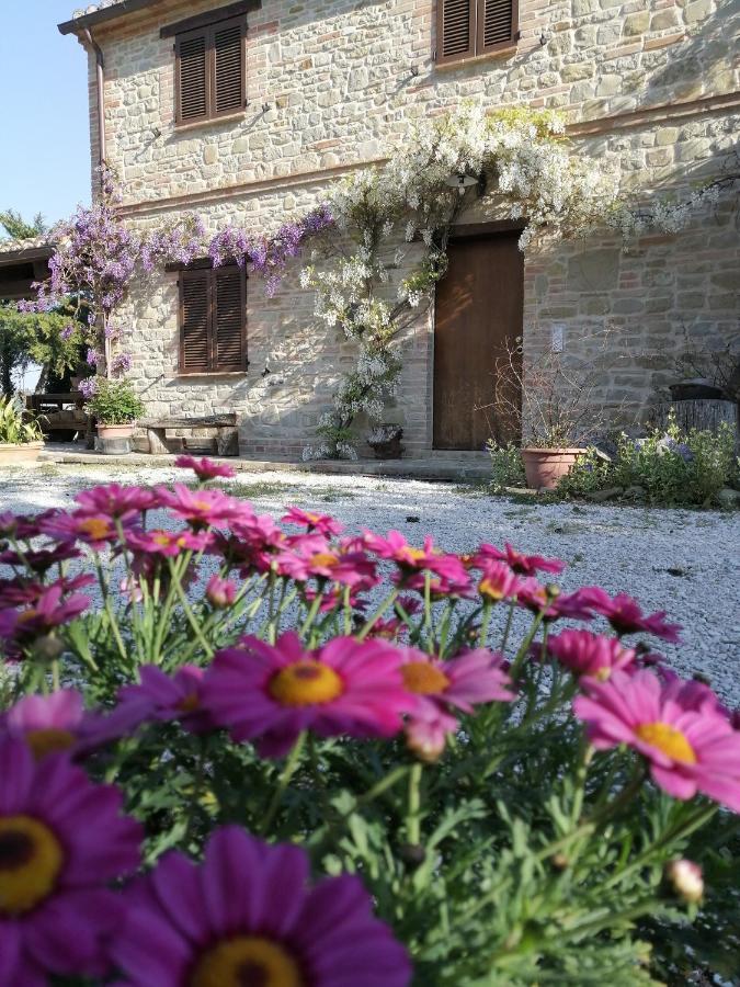 Casale San Martino Agriturismo Bio Sant'Angelo in Pontano Extérieur photo