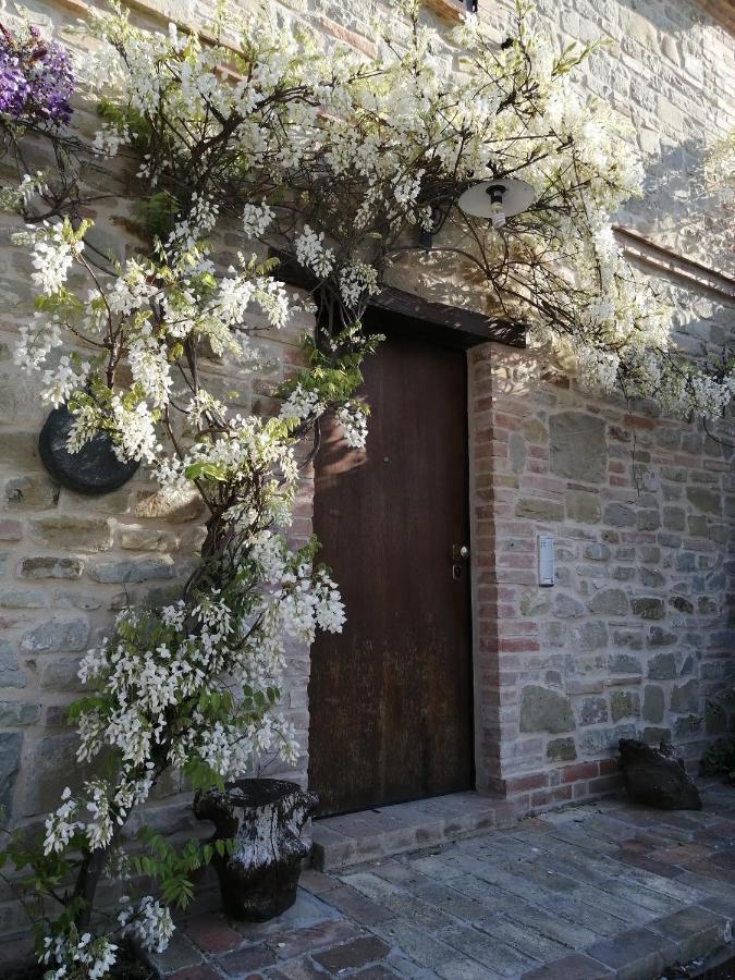 Casale San Martino Agriturismo Bio Sant'Angelo in Pontano Extérieur photo