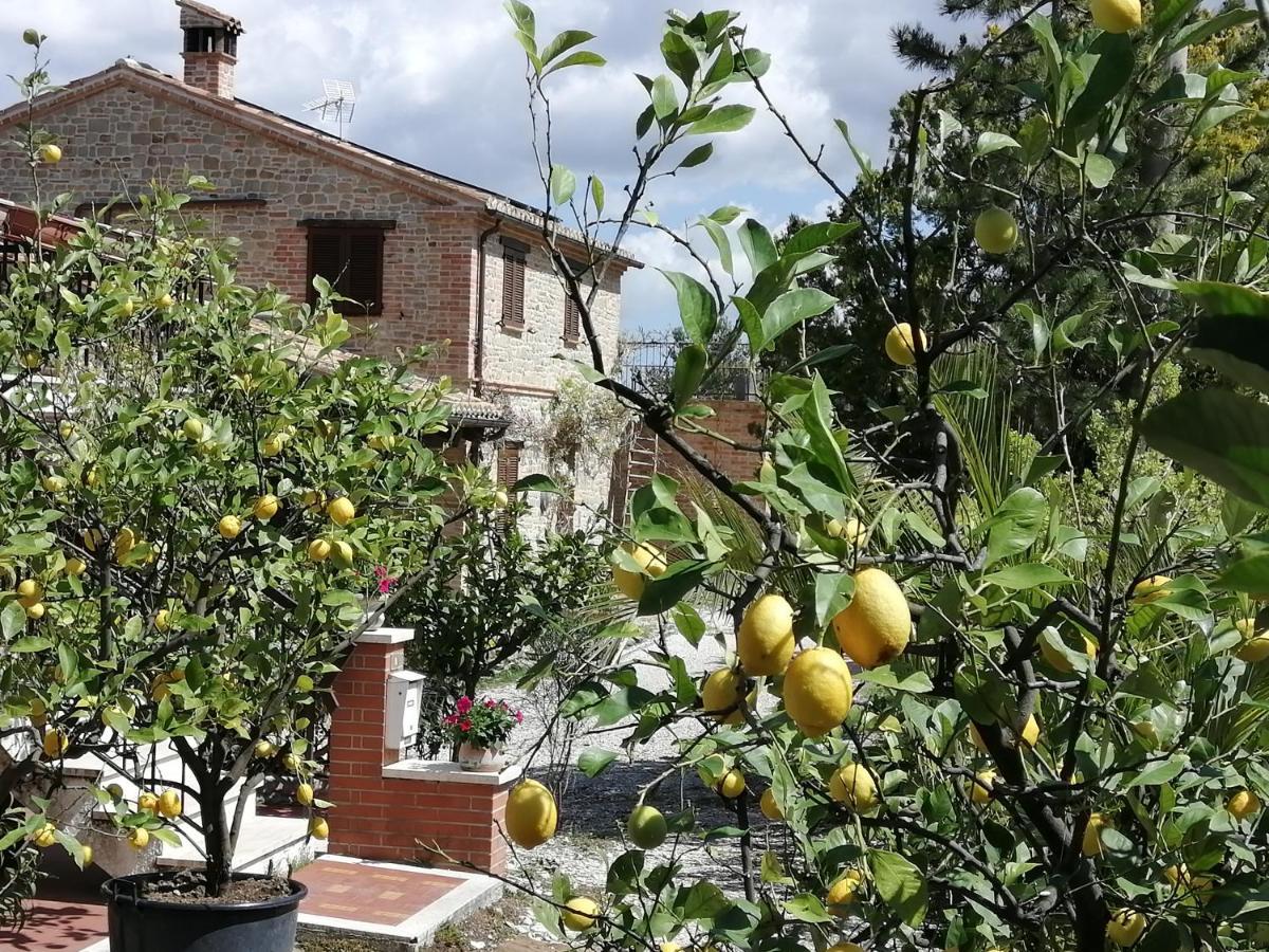 Casale San Martino Agriturismo Bio Sant'Angelo in Pontano Extérieur photo
