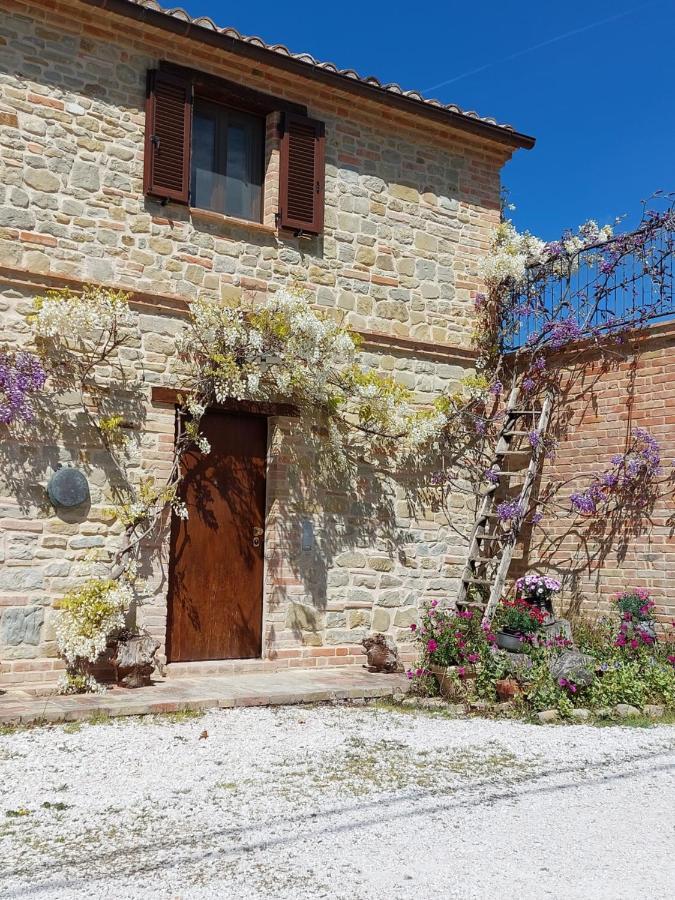 Casale San Martino Agriturismo Bio Sant'Angelo in Pontano Extérieur photo
