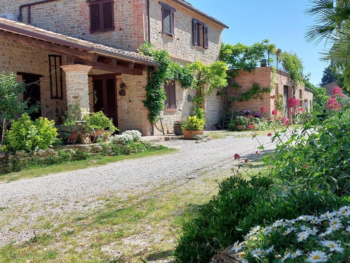 Casale San Martino Agriturismo Bio Sant'Angelo in Pontano Extérieur photo
