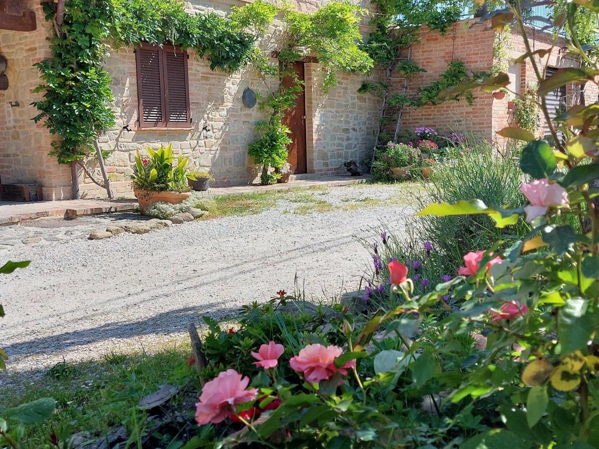 Casale San Martino Agriturismo Bio Sant'Angelo in Pontano Extérieur photo