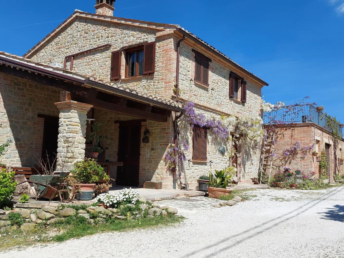 Casale San Martino Agriturismo Bio Sant'Angelo in Pontano Extérieur photo